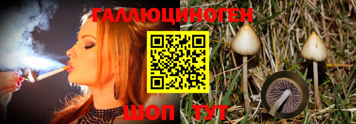 Псилоцибиновые грибы MAGIC MUSHROOMS  Псилоцибиновые грибы Psilocybe  Астрахань  Вход с VPN 